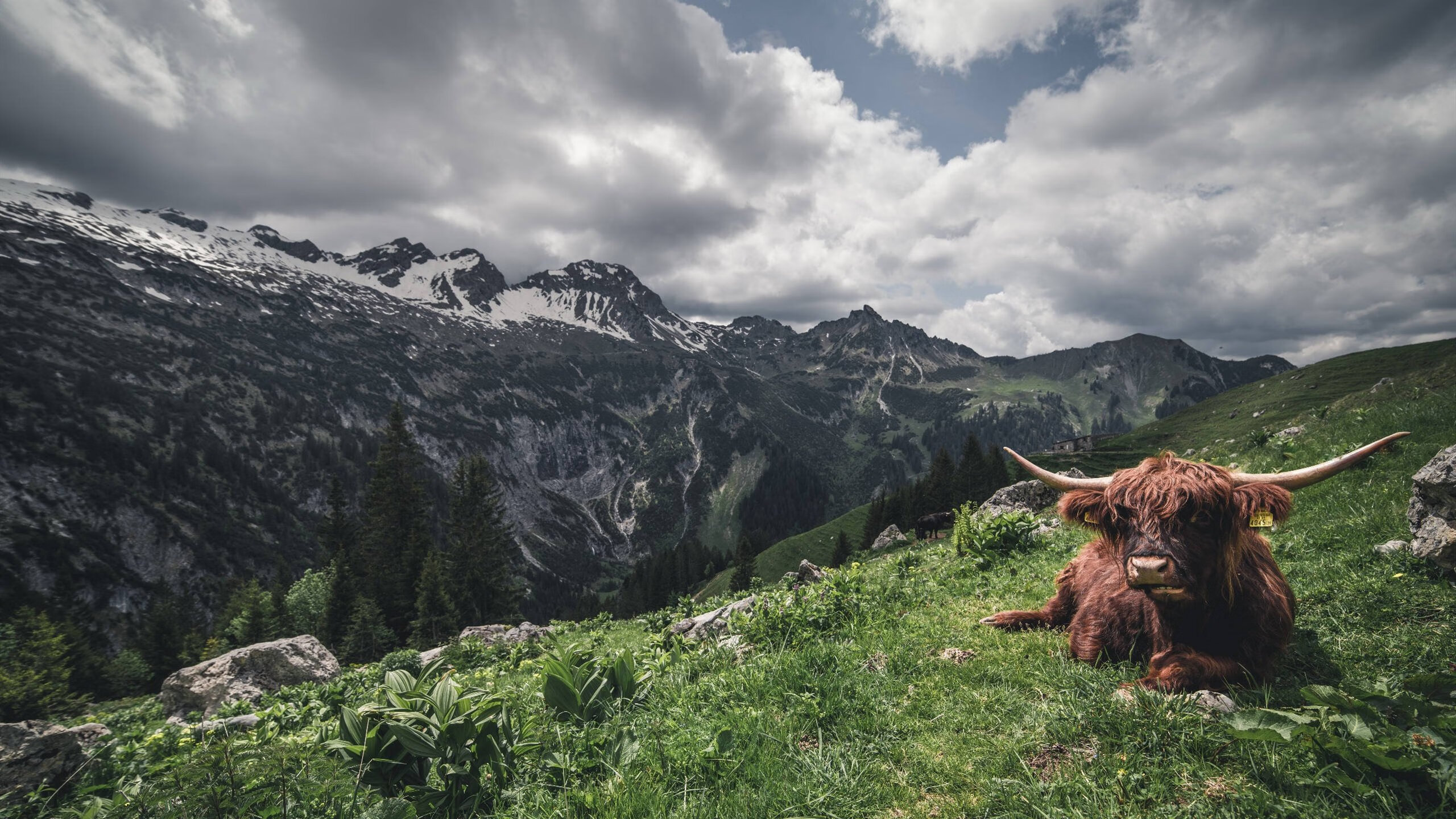 开云体育app-控球如诗，破局如刀，加维的东决式接管与法国节奏的尼日利亚困局