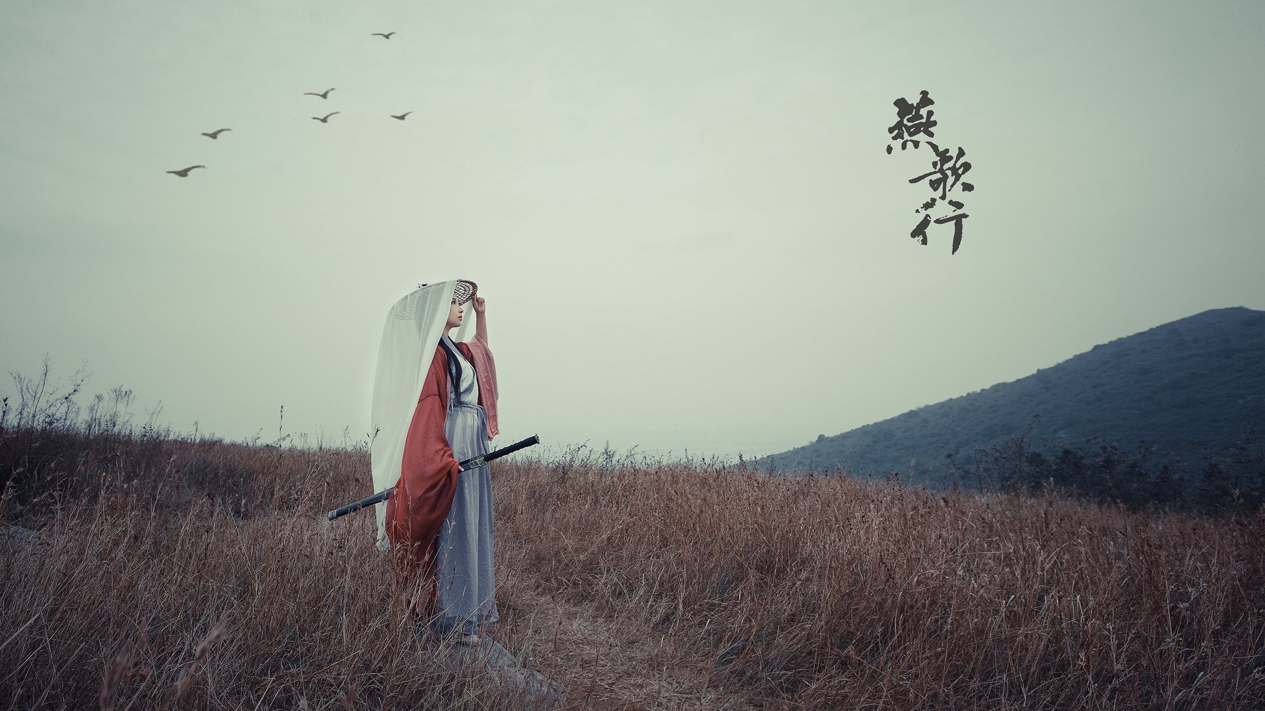 东京的冷雨,慕尼黑的泪,当凯恩的孤勇撞上亚洲的齿轮—2026世界杯G组,一场改写命运的精密暴动